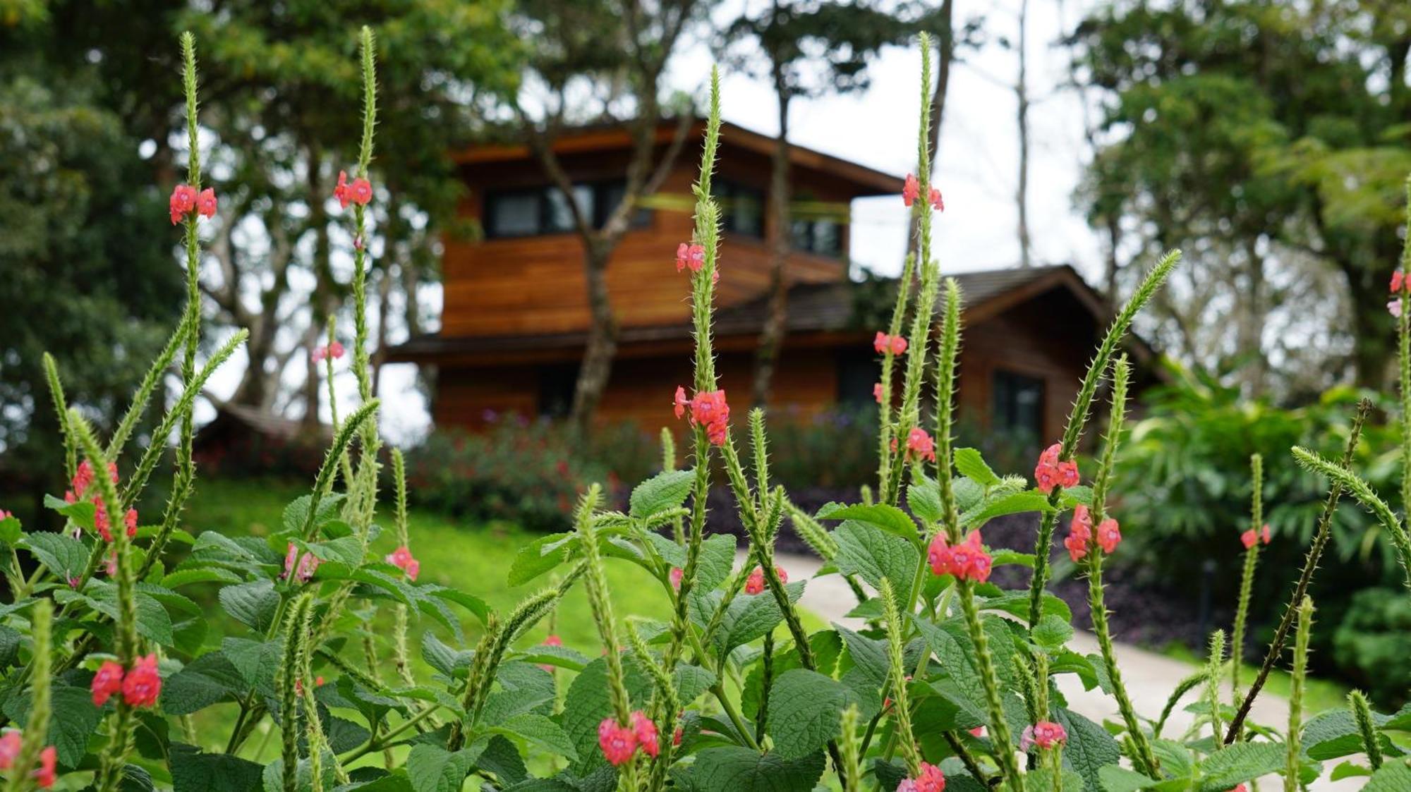 Lucero Golf And Country Club Tree Houses Boquete Εξωτερικό φωτογραφία